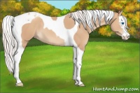 Horse Color:Silver Classic Champagne Splash Tobiano 