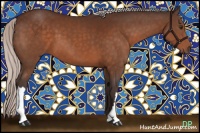 Horse Color:Silver Brown 