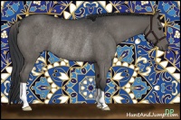 Horse Color:Black Rabicano 