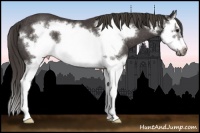 Horse Color:Smoky Black Sabino Splash Frame Rabicano
