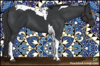 Horse Color:Black Tobiano