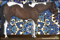 Horse Color:Brown Tobiano 