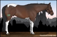 Horse Color:Brown Tobiano