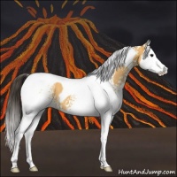 Horse Color:White Spotted Buckskin Splash Tobiano 