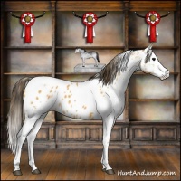 Horse Color:White Spotted Buckskin Splash Tobiano Near Leopard 