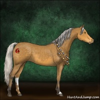 Horse Color:Silver Buckskin 
