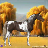 Horse Color:Liver Chestnut Tobiano 
