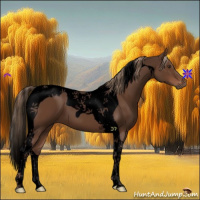 Horse Color:Void Liver Chestnut Tobiano 