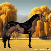 Horse Color:Void Liver Chestnut Tobiano 