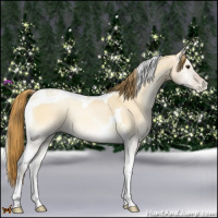 Horse Color:Red Dun Pearl Onyx Tobiano 