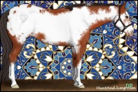 Horse Color:Brown Frame Appaloosa 