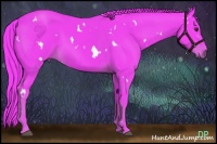 Horse Color:Watercolor White Spotted Liver Chestnut 