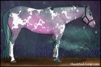 Horse Color:Watercolor White Spotted Bay 