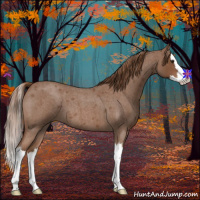 Horse Color:Red Roan Splash 