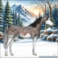 Horse Color:Brown Ice Splash 