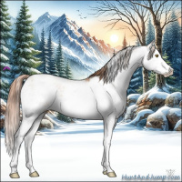 Horse Color:Gold Champagne Ice Sabino Splash 