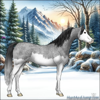 Horse Color:Blue Ice Roan Splash Rabicano