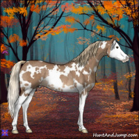 Horse Color:White Spotted Liver Red Dun Splash Rabicano