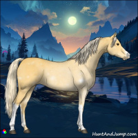Horse Color:Palomino Rabicano