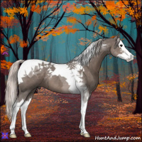 Horse Color:Silver Black Splash Tobiano 