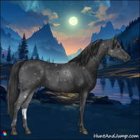 Horse Color:Black Rabicano 