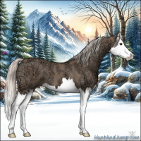 Horse Color:Silver Grullo Ice Splash 