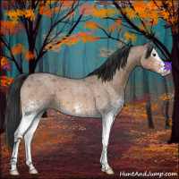 Horse Color:White Spotted Bay Roan Dun 