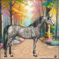 Horse Color:Watercolor Bay Dun Sabino Splash  and Painted Grullo Splash 