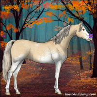 Horse Color:White Spotted Palomino Dun 