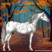 Horse Color:White Spotted Liver Red Dun 