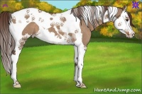 Horse Color:Liver Red Dun Splash Tobiano 