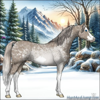 Horse Color:Silver Grullo Ice Roan Splash Frame Rabicano 