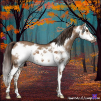 Horse Color:White Spotted Liver Red Dun Splash Frame 