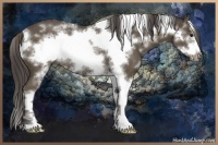 Horse Color:White Spotted Smoky Black Frame Rabicano 