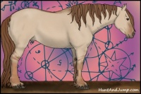 Horse Color:Red Dun Sabino 