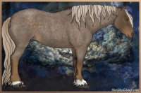 Horse Color:Chocolate Palomino Roan 