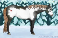 Horse Color:Liver Chestnut Frame 