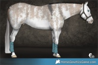 Horse Color:Bay Dun Sabino Splash