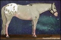 Horse Color:Watercolor White Spotted Chestnut Blanket