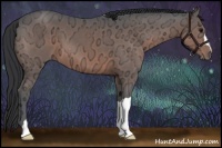 Horse Color:Brown Ice 