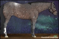 Horse Color:Brown Ice