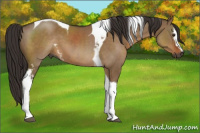Horse Color:Gray White Spotted Liver Red Dun Tobiano 