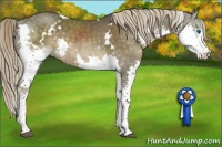 Horse Color:White Spotted Chocolate Palomino Splash Tobiano 