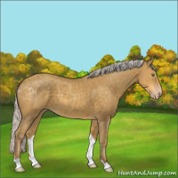 Horse Color:Silver Classic Cream Champagne 