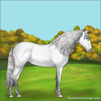 Horse Color:Gray Void Silver Sable Champagne Splash Tobiano 