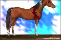 Horse Color:Bay Tobiano Rabicano 