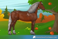 Horse Color:Silver Bay Tobiano Rabicano 
