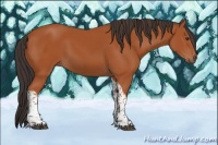 Horse Color:Bay Tobiano Rabicano 