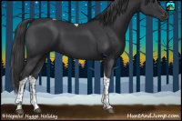 Horse Color:Black Tobiano Rabicano 
