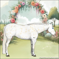 Horse Color:Palomino Splash Appaloosa  and Palomino Roan Splash Appaloosa 